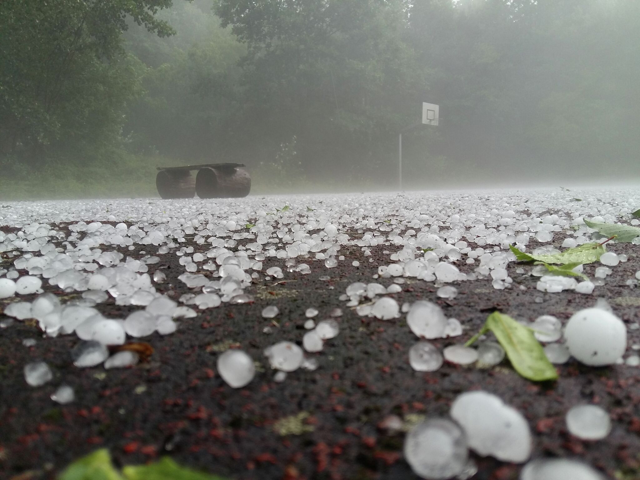 Storm & Hail Damage